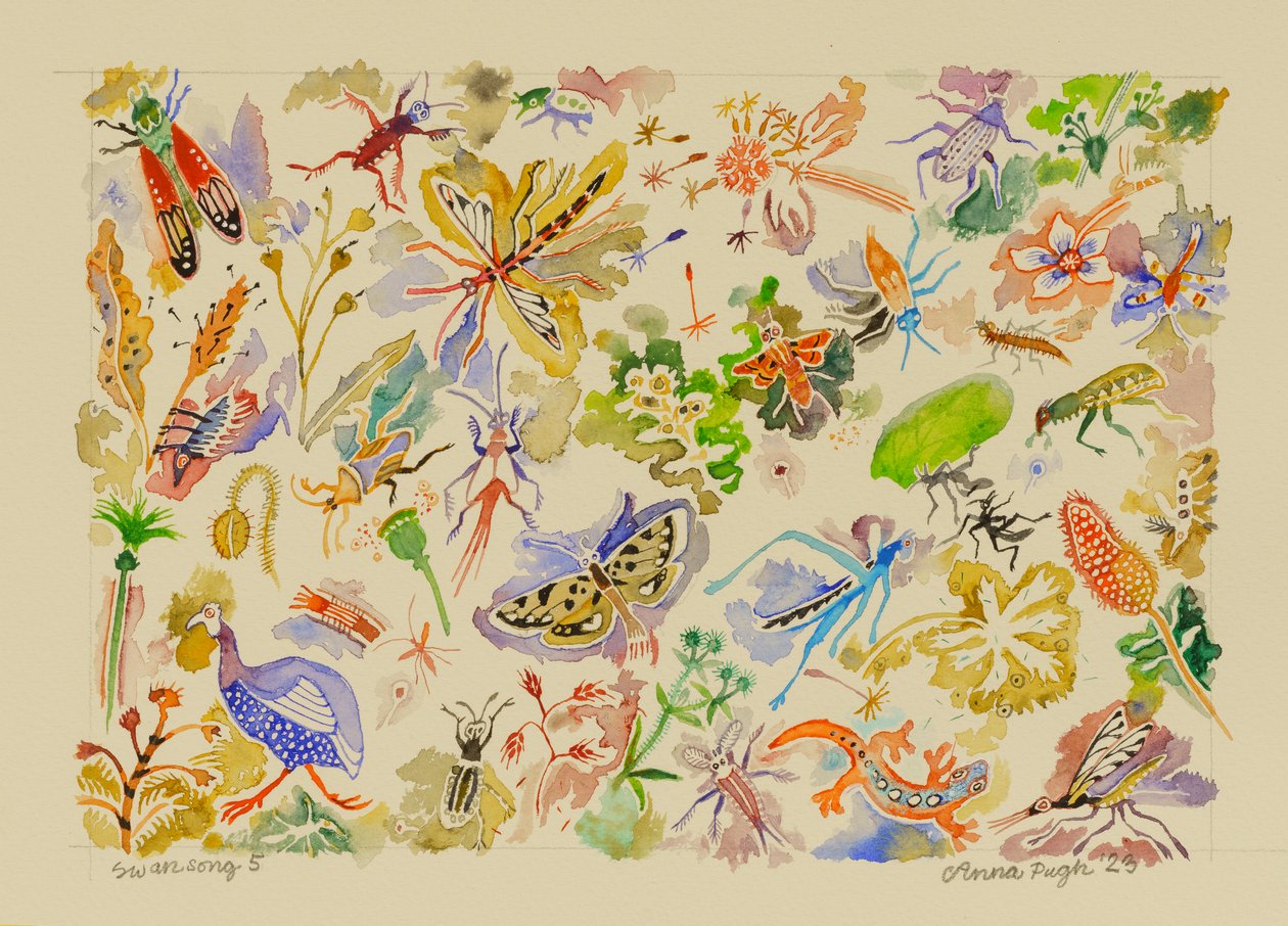 5 Swansong, 2023 (suluboya) by Anna Pugh