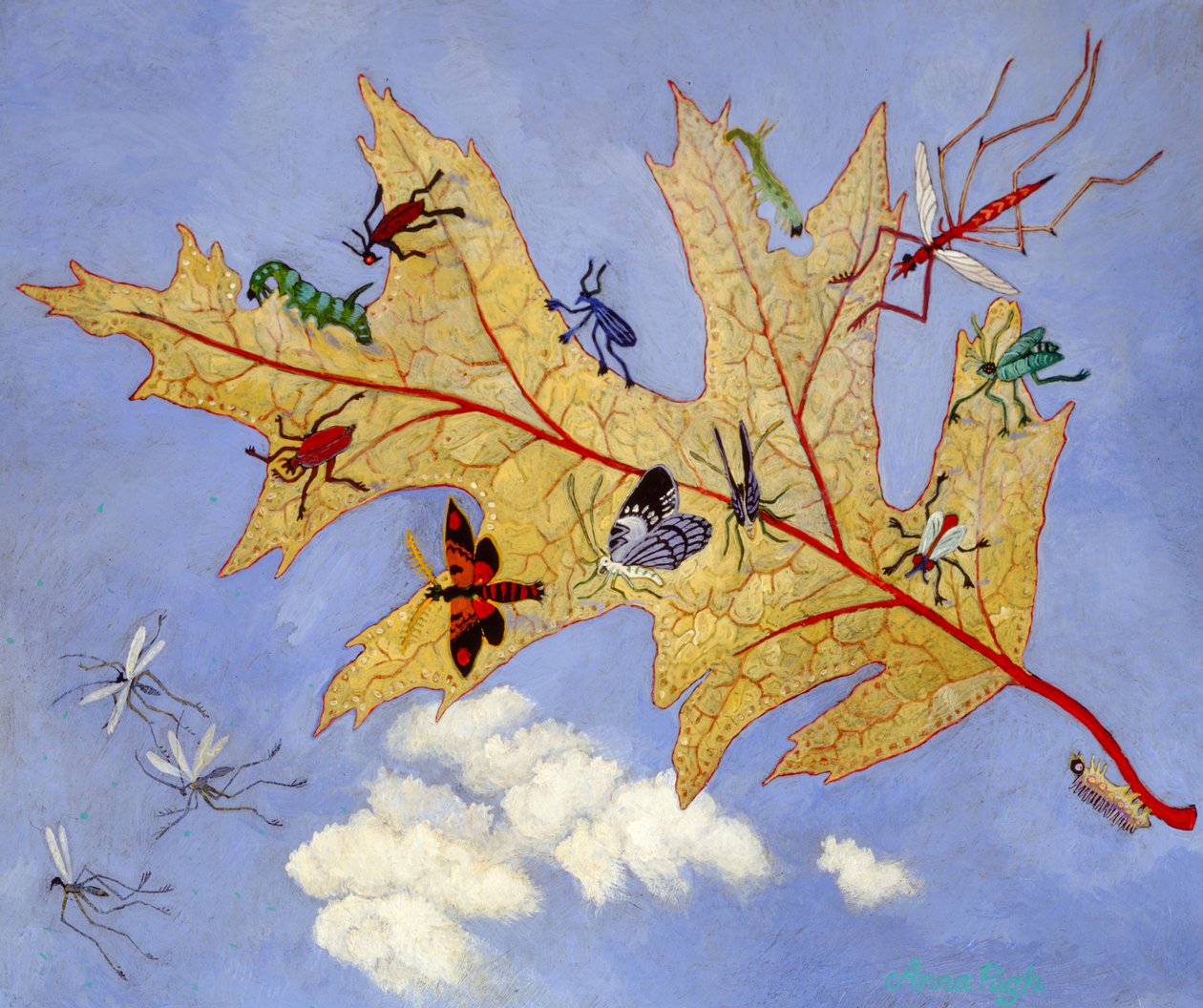 Sonbahar Yaprağı, 2009 (akrilik) by Anna Pugh