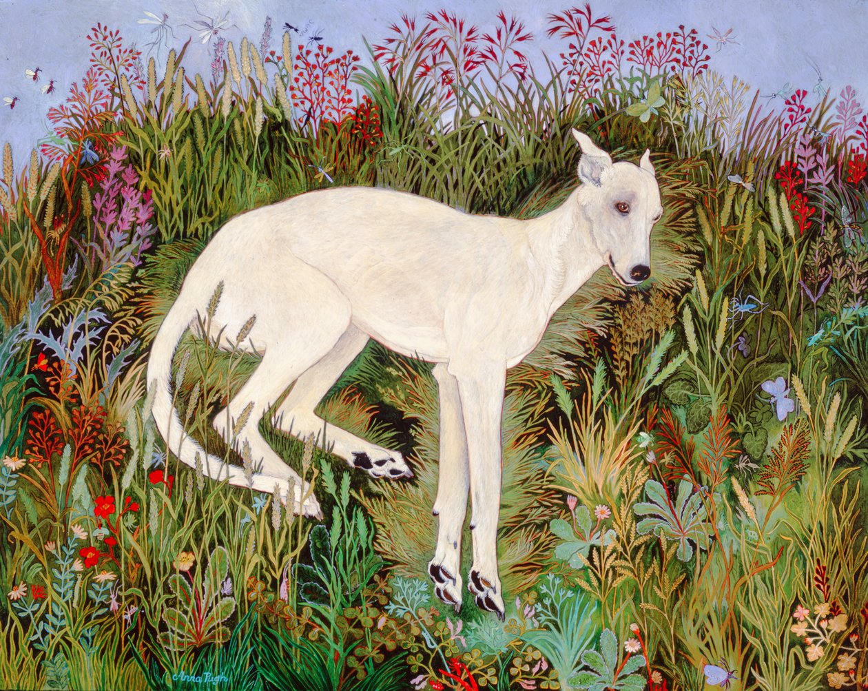 Bliss off Grass, 2009 (akrilik) by Anna Pugh