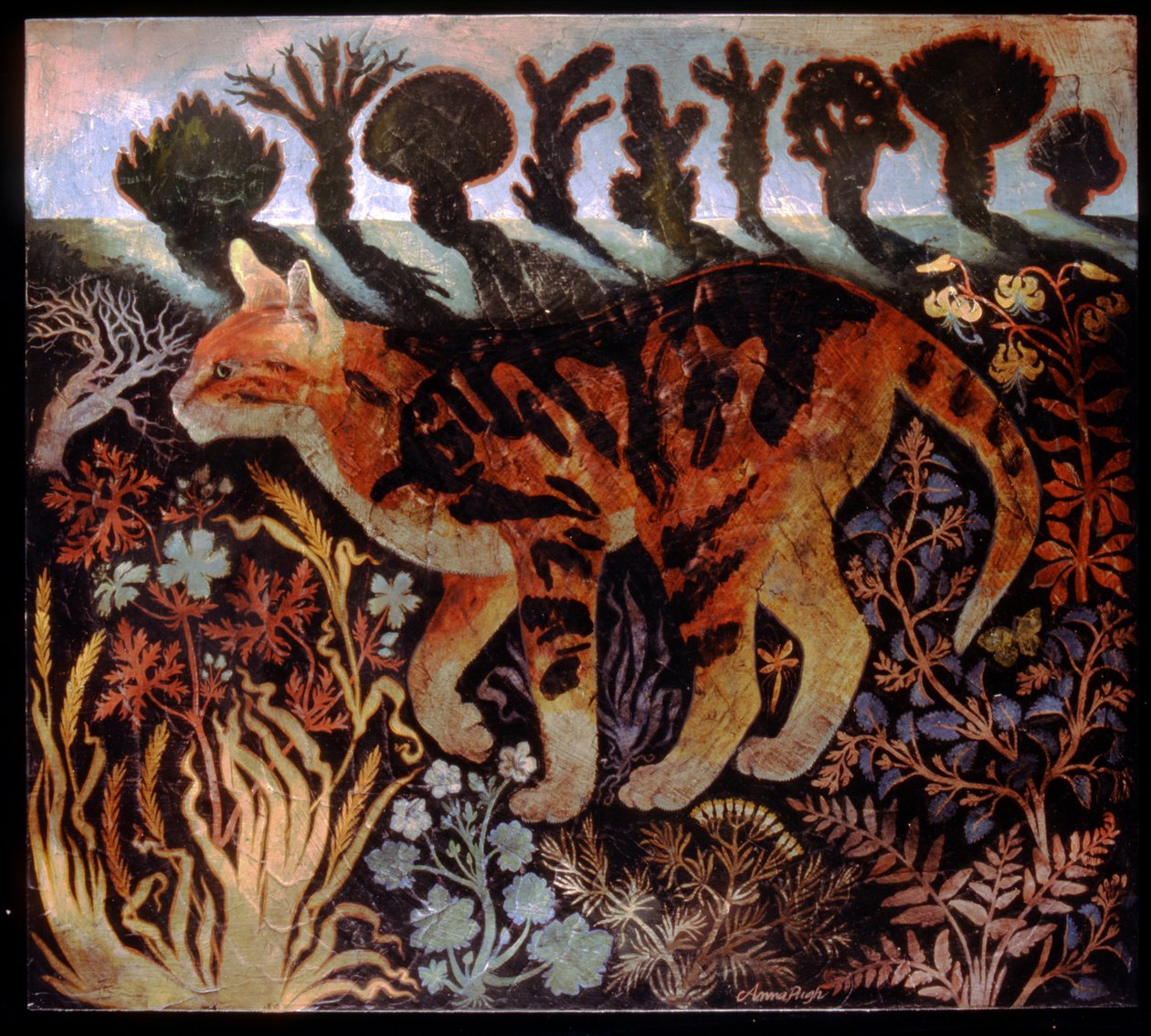 Cambridge Kedisi by Anna Pugh