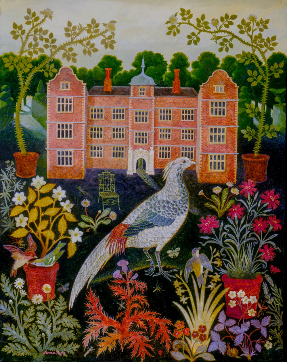Saksı Bitkileri by Anna Pugh