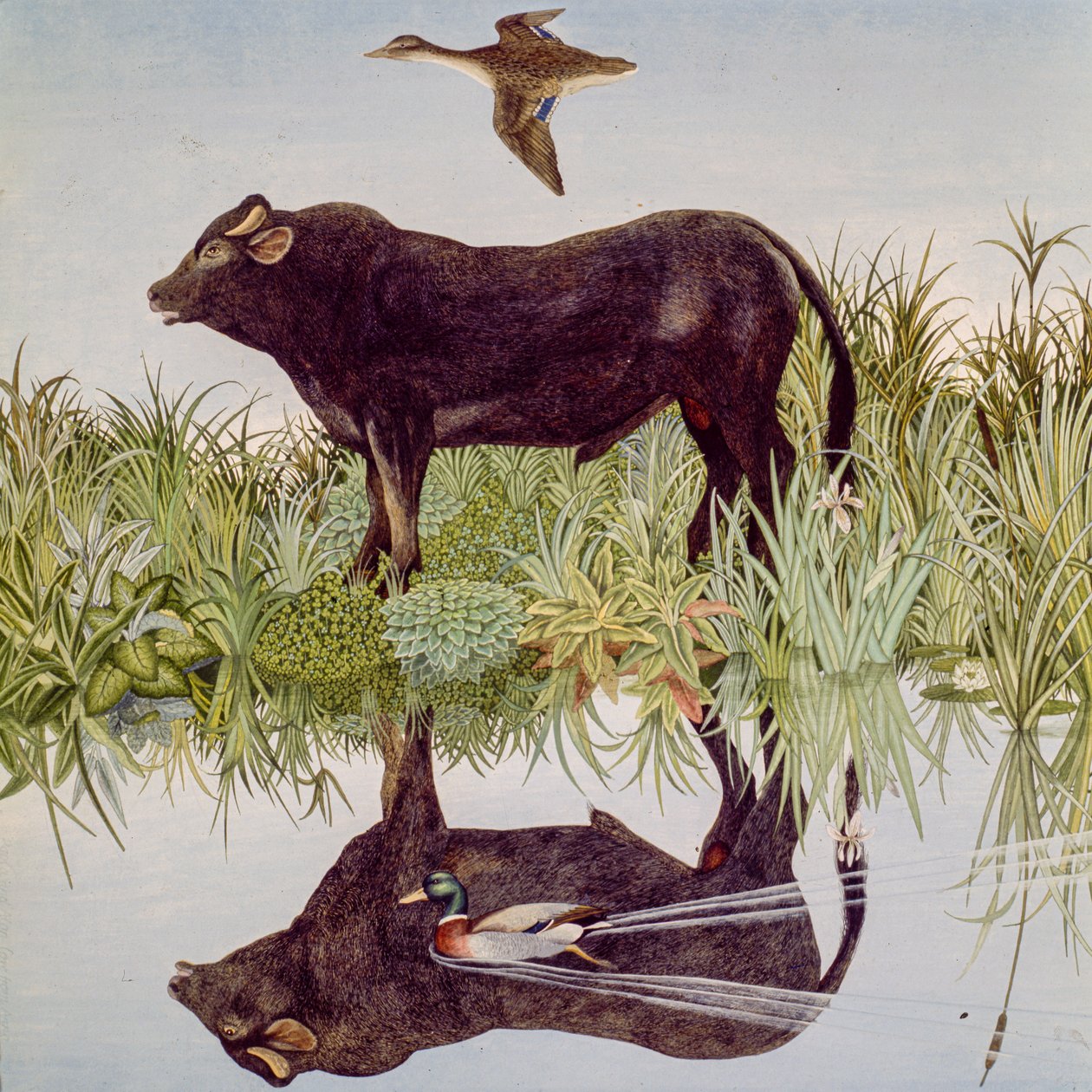Reflecting, 2004 (akrilik) by Anna Pugh