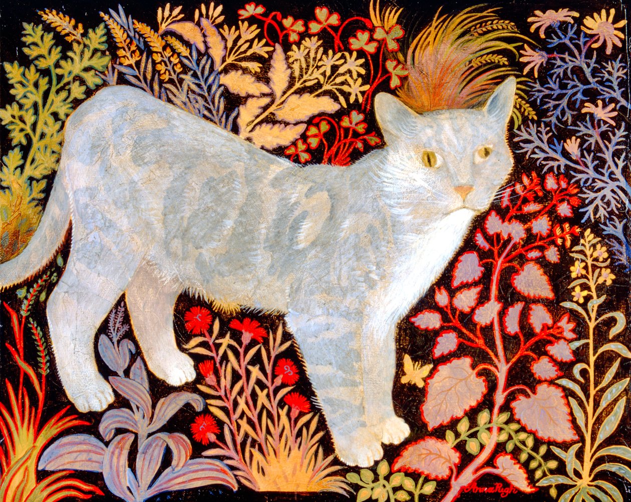 Gümüş Tekir by Anna Pugh