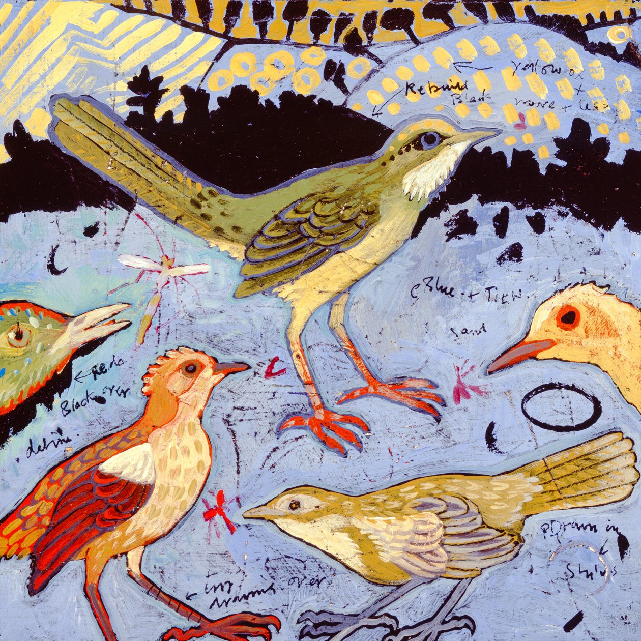 Küçük Kuşlar, 2006 (akrilik) by Anna Pugh
