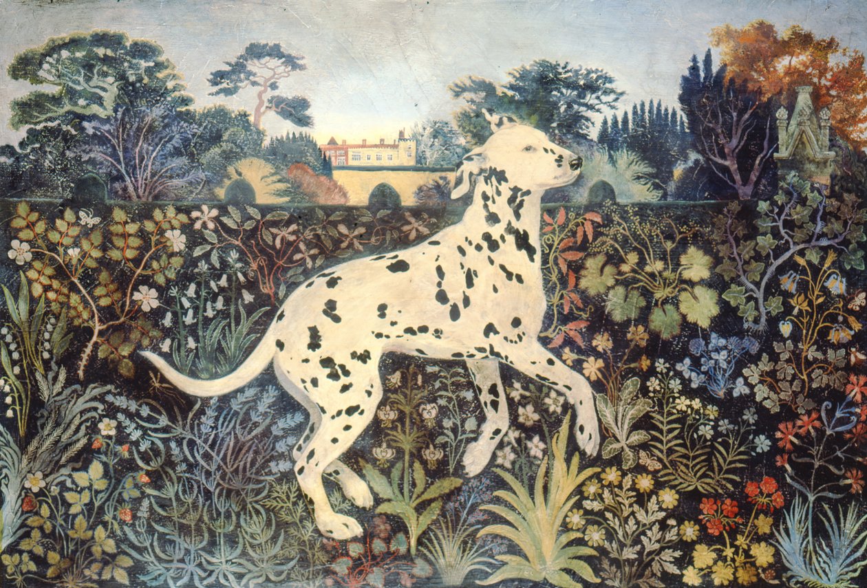 Sophie by Anna Pugh