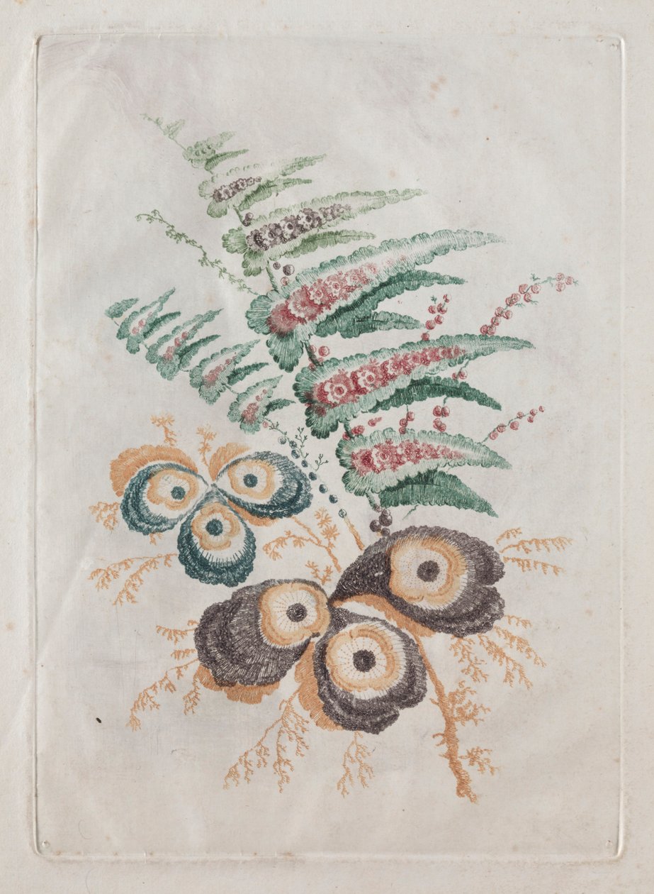 Tasarım ve Boyama için Kullanmak İçin İdeal Yeni Çiçek Portföy Paketi: Çiçek Fantezileri, c. 179 by Anne Allen