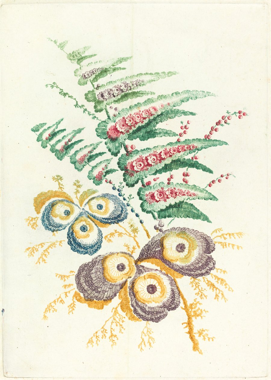 İstiridye Kabuğu Çiçekleriyle Muhteşem Çiçekler by Anne Allen after Jean Baptiste Pillement