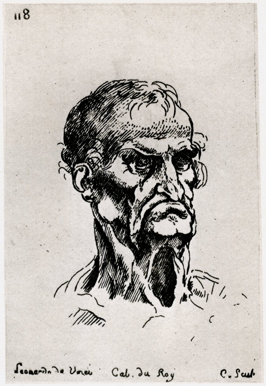 Leonardo de Vinci