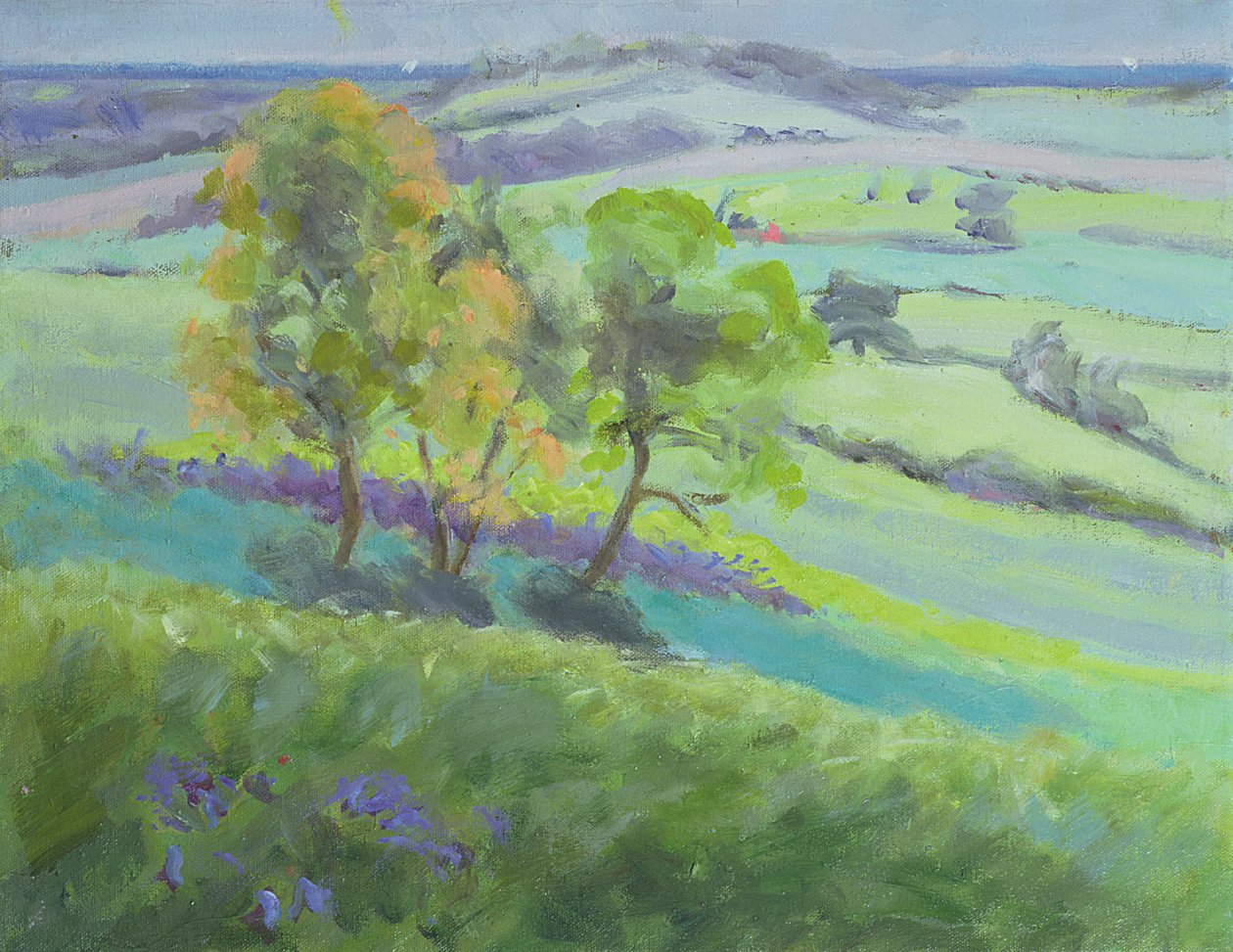 İlkbaharda Bluebells ile Winchelsea, Sussex