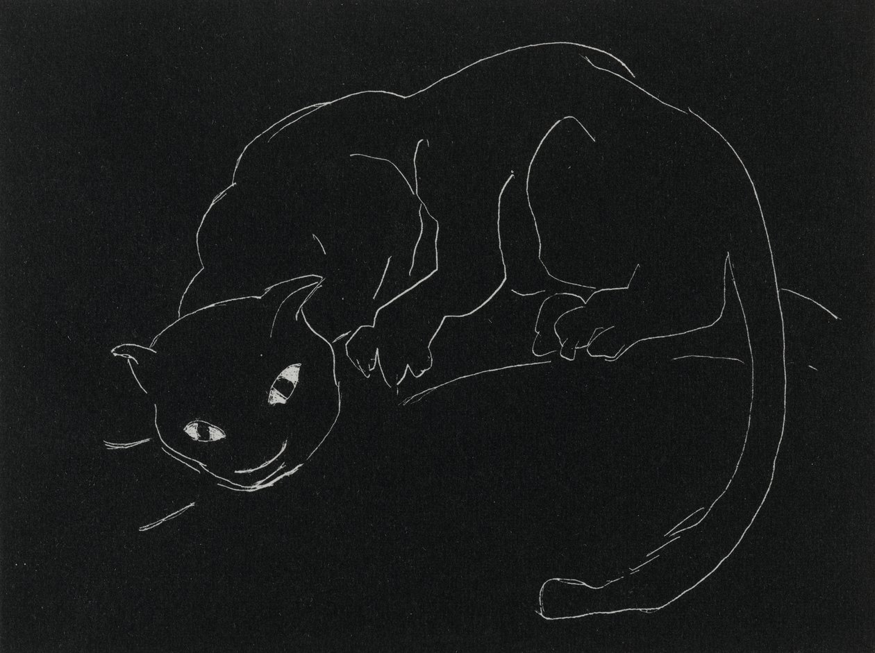 Gece Serisi: Kedi (lito, dokuma kağıt üzerinde beyaz çizgi) by Anne Goldthwaite