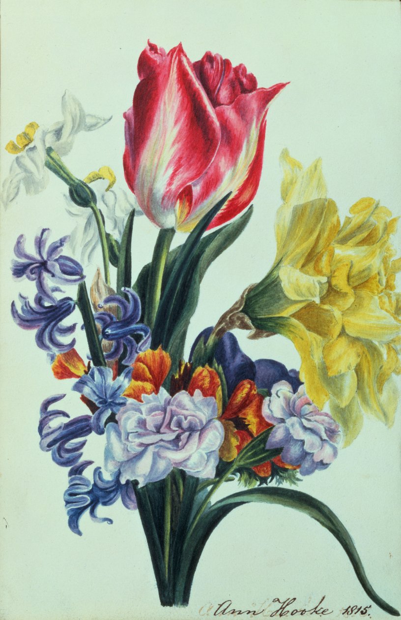 Bahar Çiçekleri, 1815 by Anne Hooke