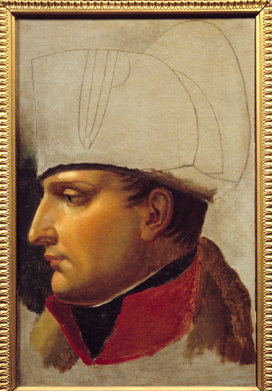 Napolyon