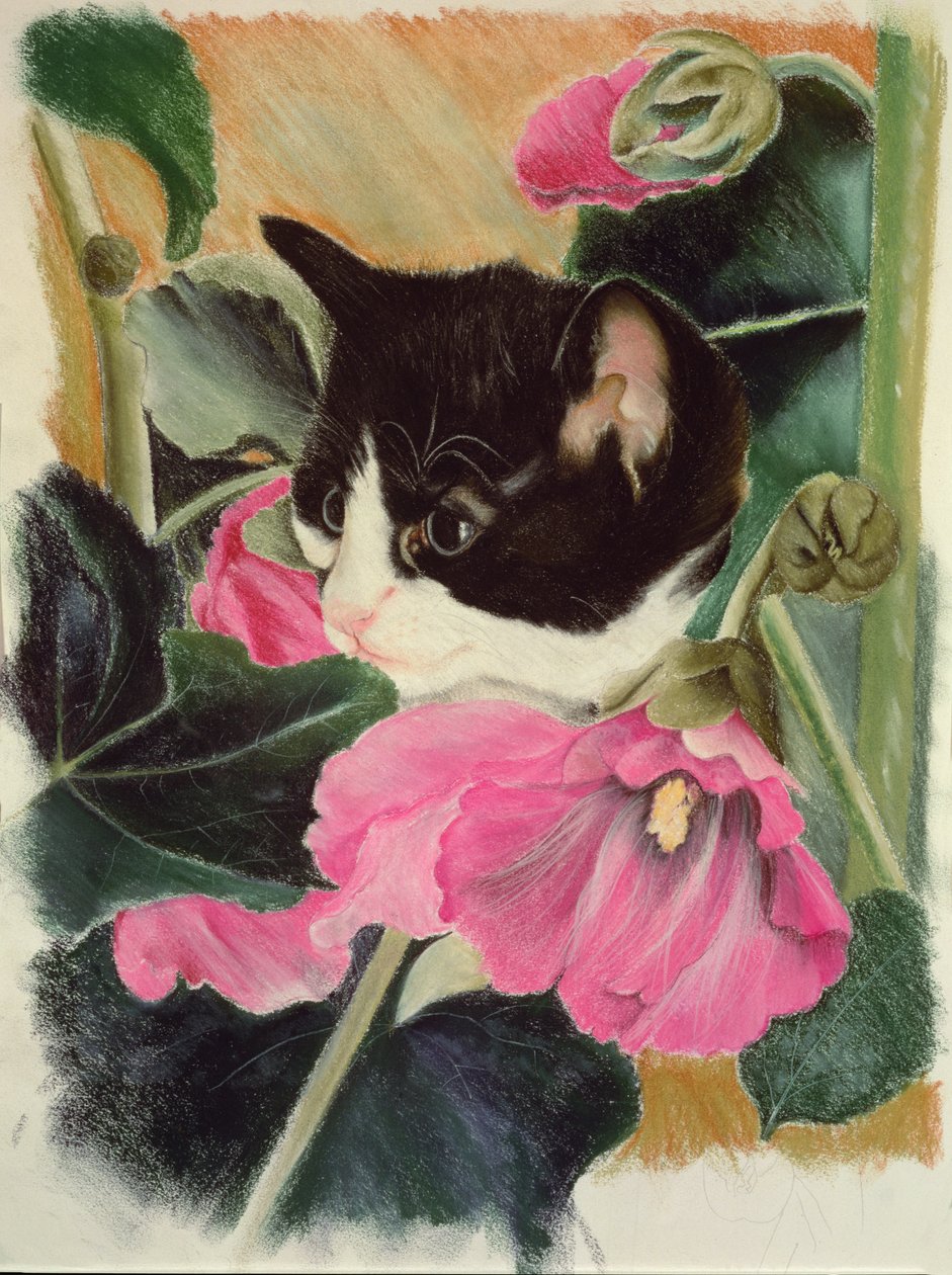 Yavru kedi ve gülhatmi by Anne Robinson