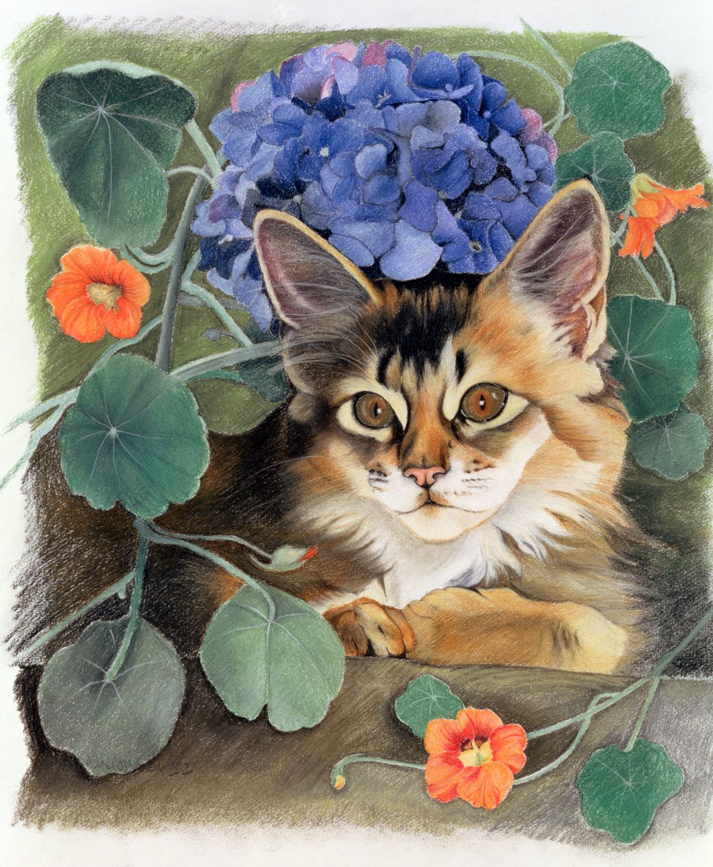 Ortanca ile isli by Anne Robinson