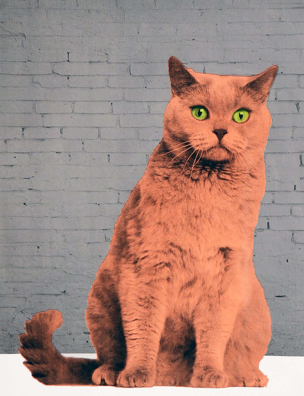 Herkes kedi olmak ister, 2017 by Anne Storno