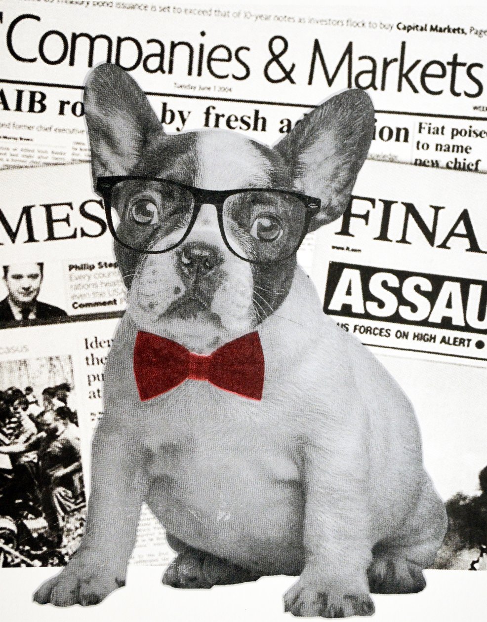 Wall street köpeği, 2015 by Anne Storno