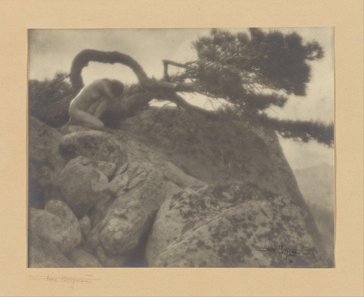 Yalnız Çam by Anne W. Brigman