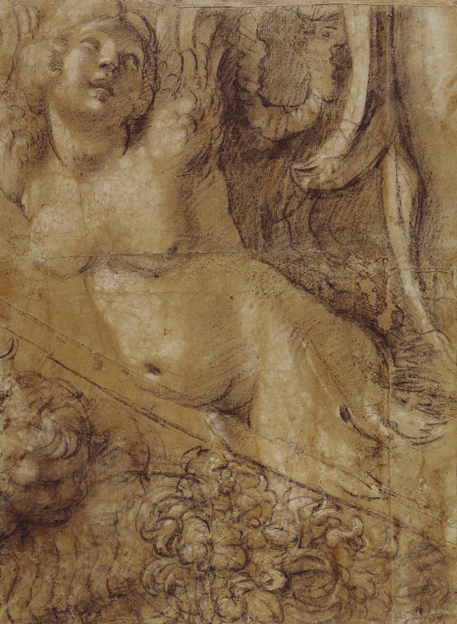 karikatürize et, deniz kızı by Annibale Carracci