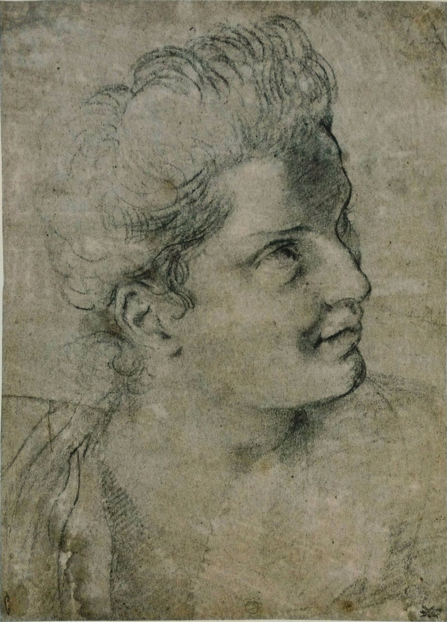 Bir kadının başı by Annibale Carracci