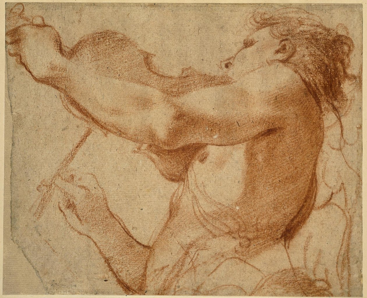  by Annibale Carracci