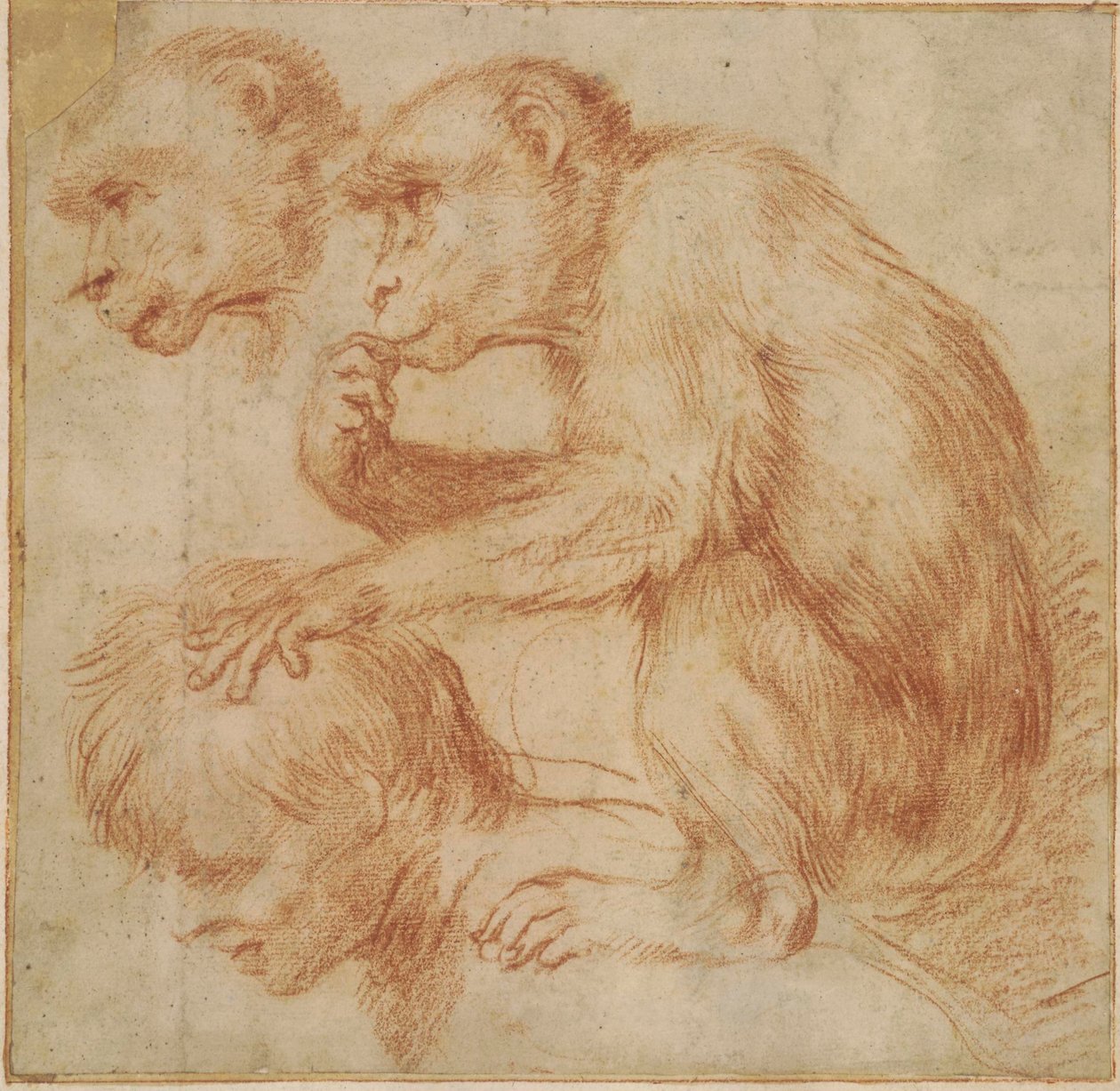  by Annibale Carracci