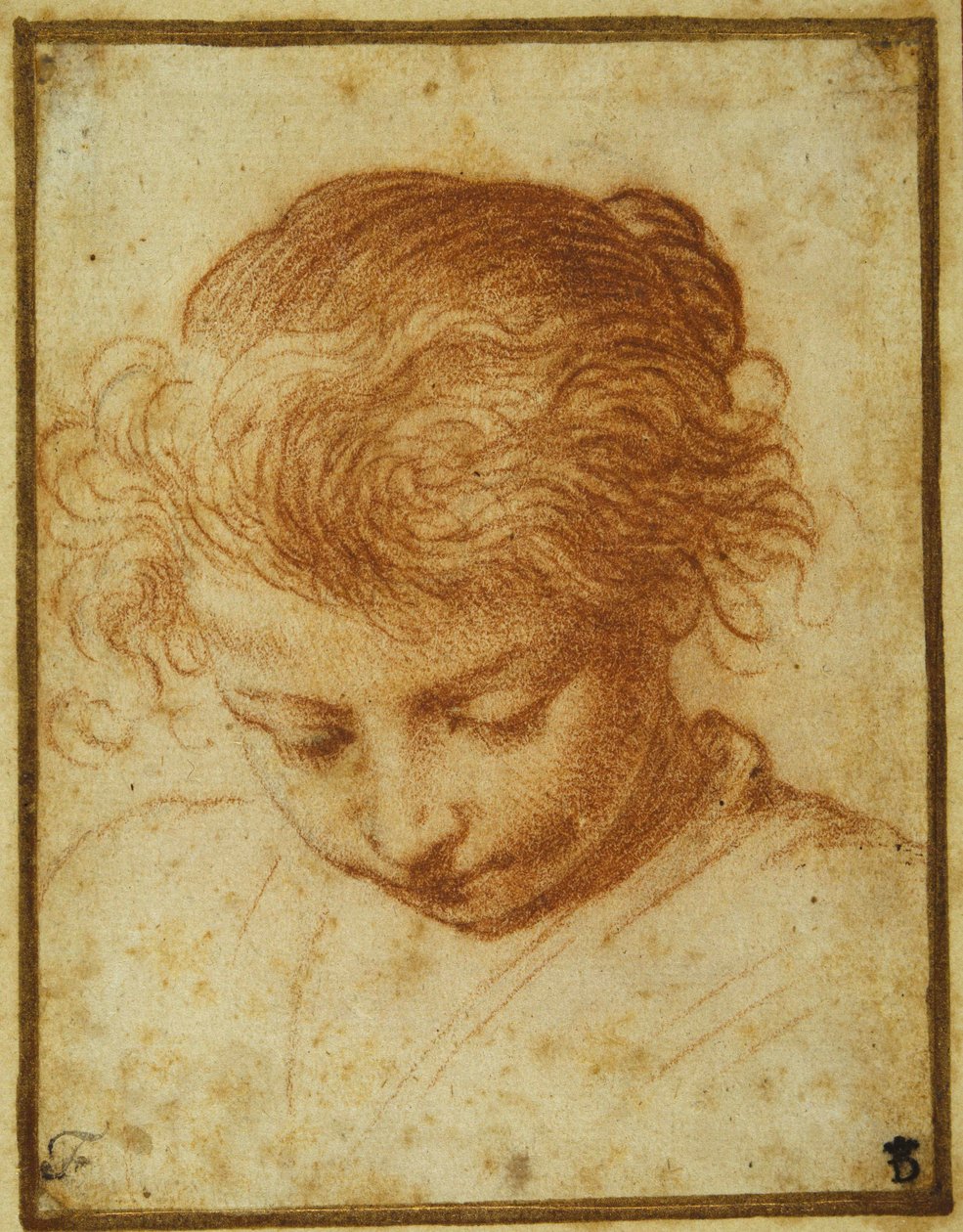 Aşağıya bakan genç bir kızın başı (kremalı kağıt üzerinde kırmızı tebeşir) by Annibale Carracci