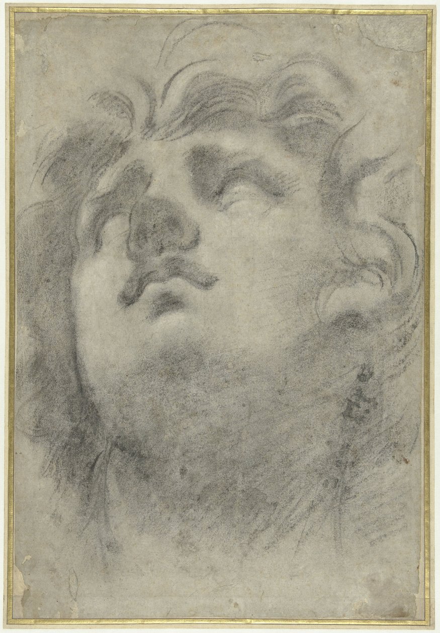 Bir triton başkanı arıyorum by Annibale Carracci