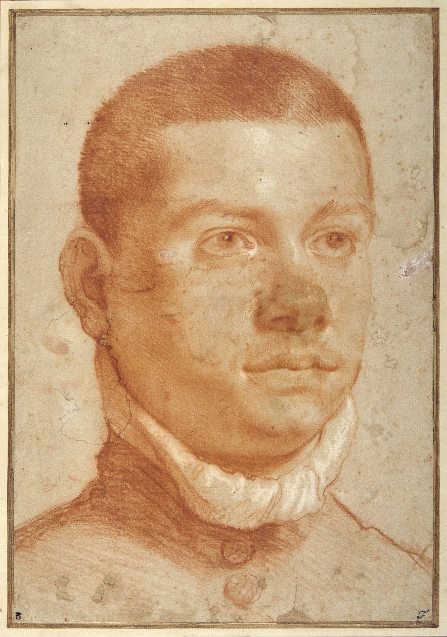Genç bir adamın portre başı (kırmızı tebeşir) by Annibale Carracci