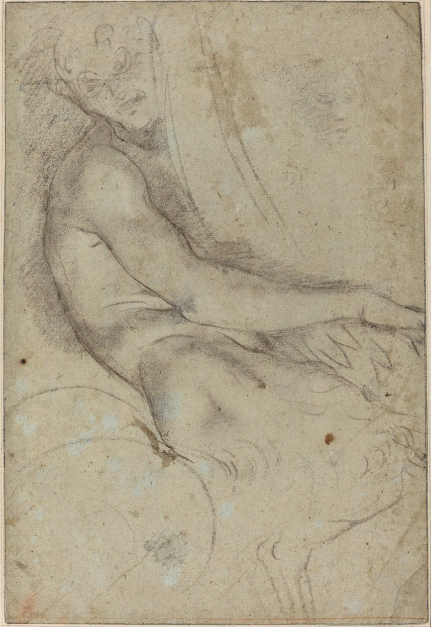 Bir Roundel tutan Satyr by Annibale Carracci