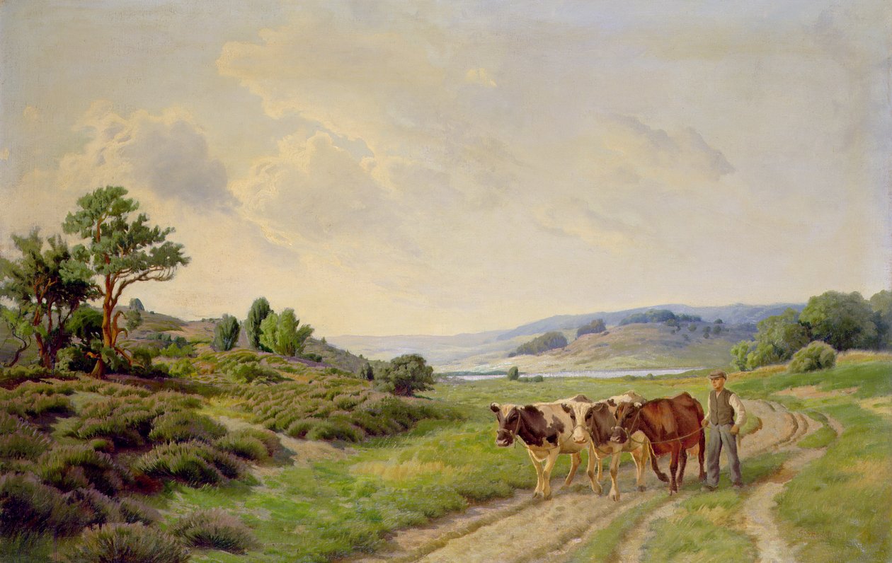 Sığırlarla Geniş Danimarka Manzarası by Unbekannt Unbekannt