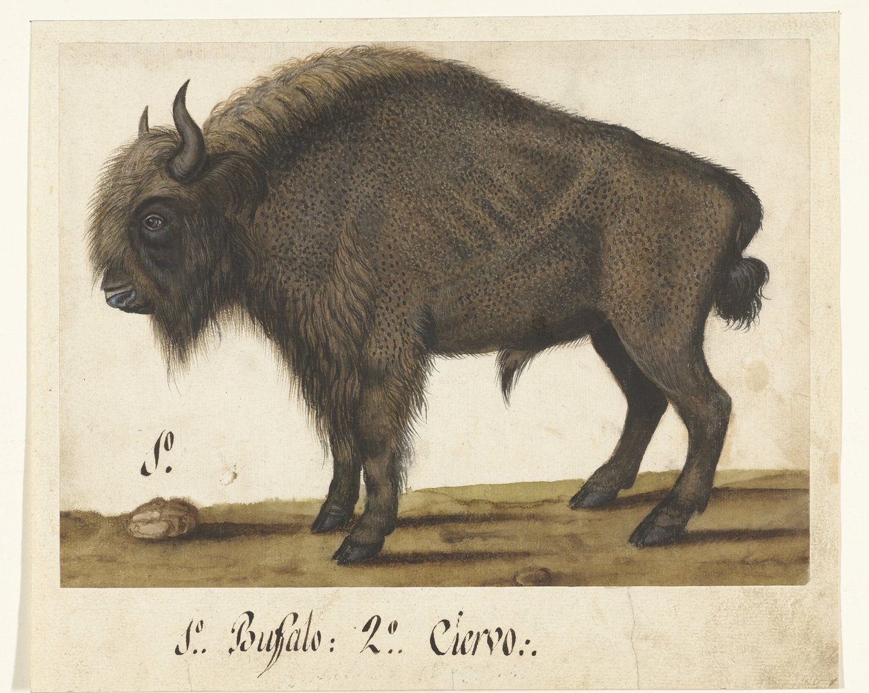 Bison Bizon Lombard albümüyle Albüm Sayfası (seri başlığı) by Anonymous