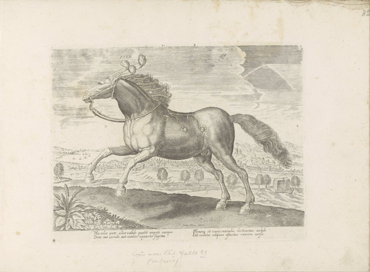 Arabisch paard Afer (nesne üzerindeki başlık) Paardenrassen uit de Koninklijke stallen van Don Juan van Oostenrijk (seri başlığı) Her türden en asil olan bir at: dünyanın çeşitli yerlerinden seçilen atların seçkin bir karakteri (...) (nesne üzerine seri ba by Anonymous