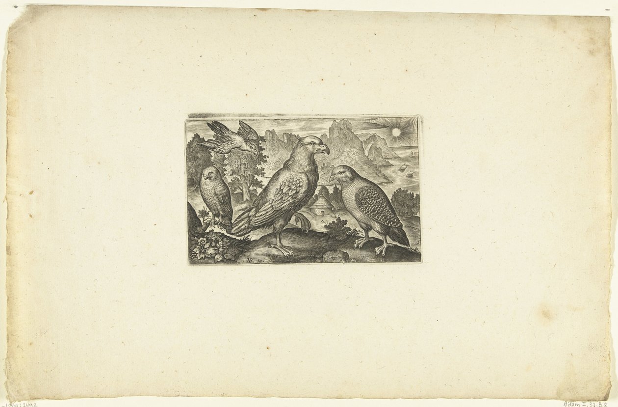 Kartal ve keklik Volatilium varii generis (...) (dizi adı) by Anonymous