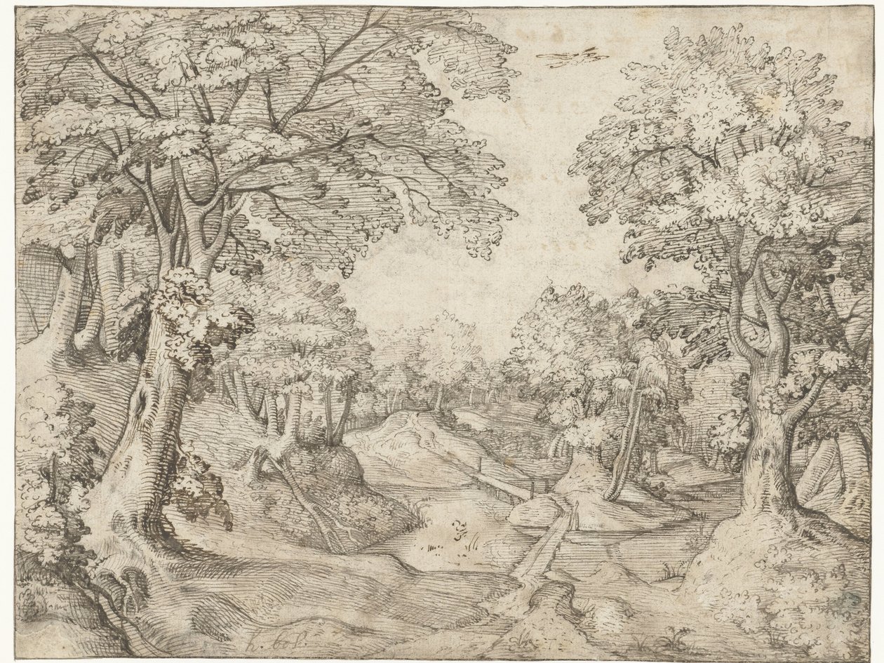 Bir dere ile orman manzarası by Anonymous