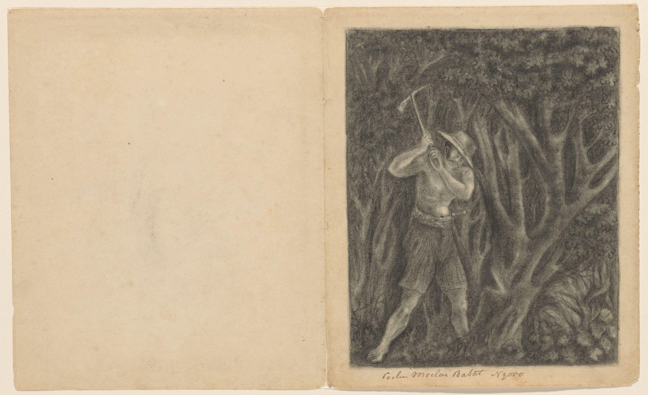 Coolen, Ngoro