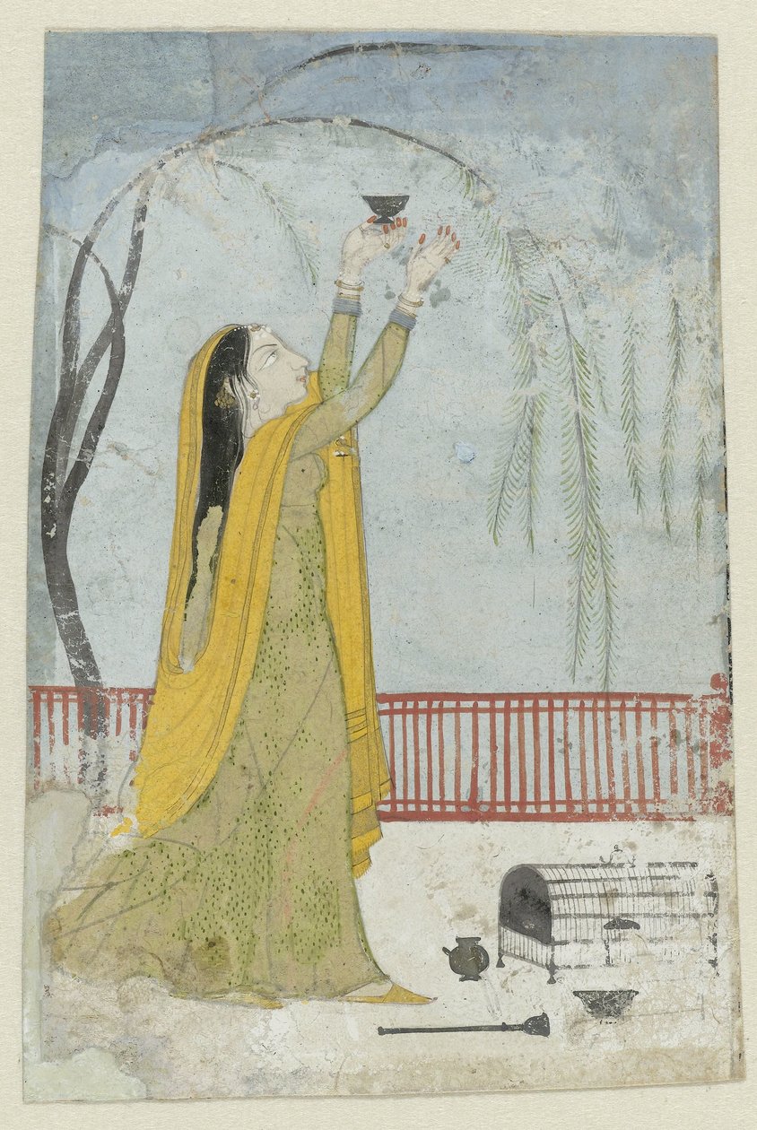 Bayan kuşu cezbeder by Anonymous
