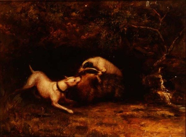 Porsuğu Yemleyen Köpekler, 1870 dolayları by Anonymous