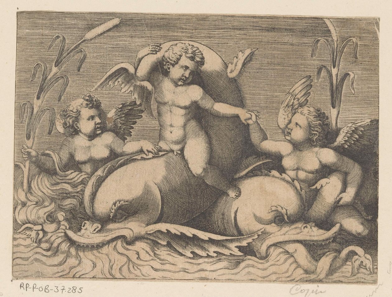 Yunuslar ile üç putti by Anonymous