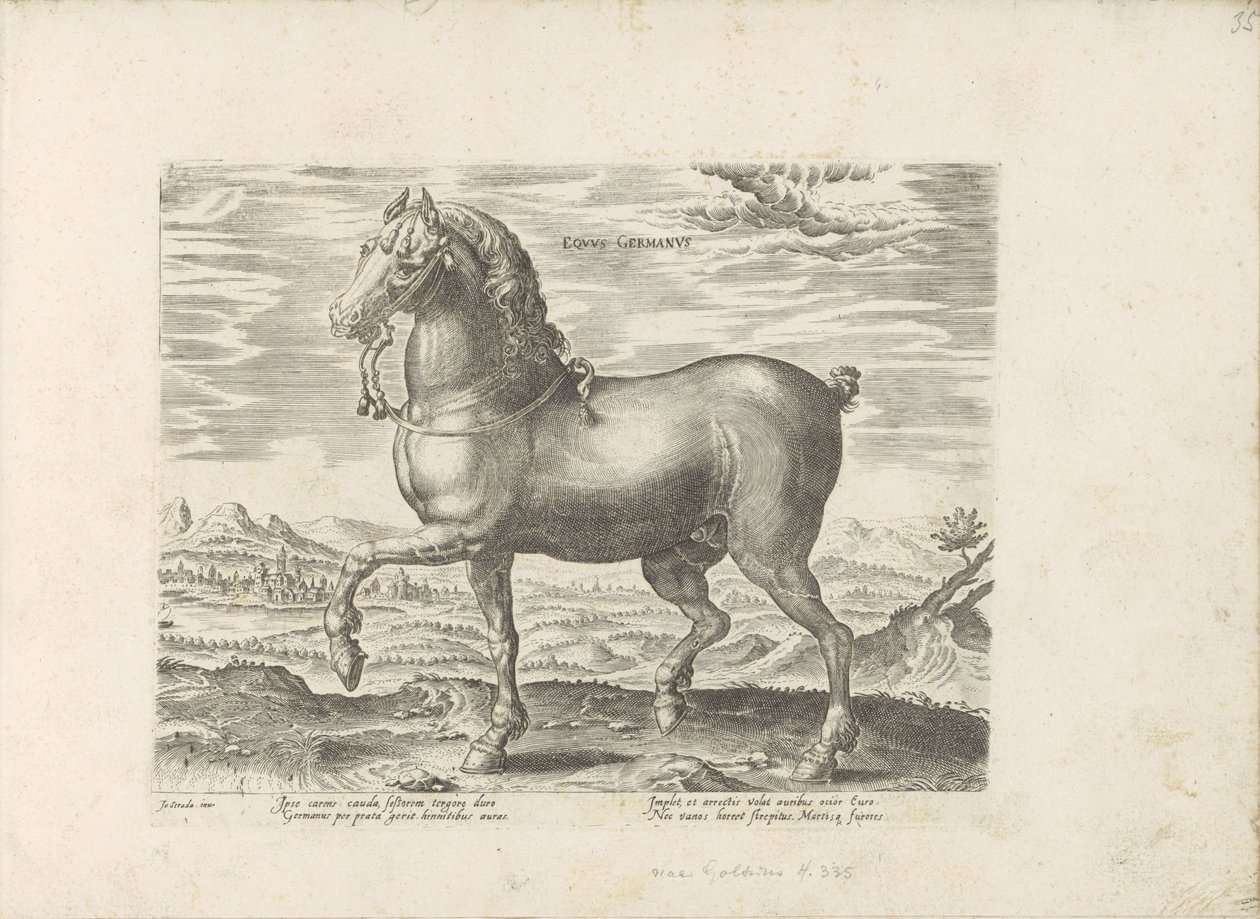 Alman atı (nesne üzerindeki başlık) Paardenrassen uit de Koninklijke stallen van Don Juan van Oostenrijk (seri başlığı) Equile by Anonymous