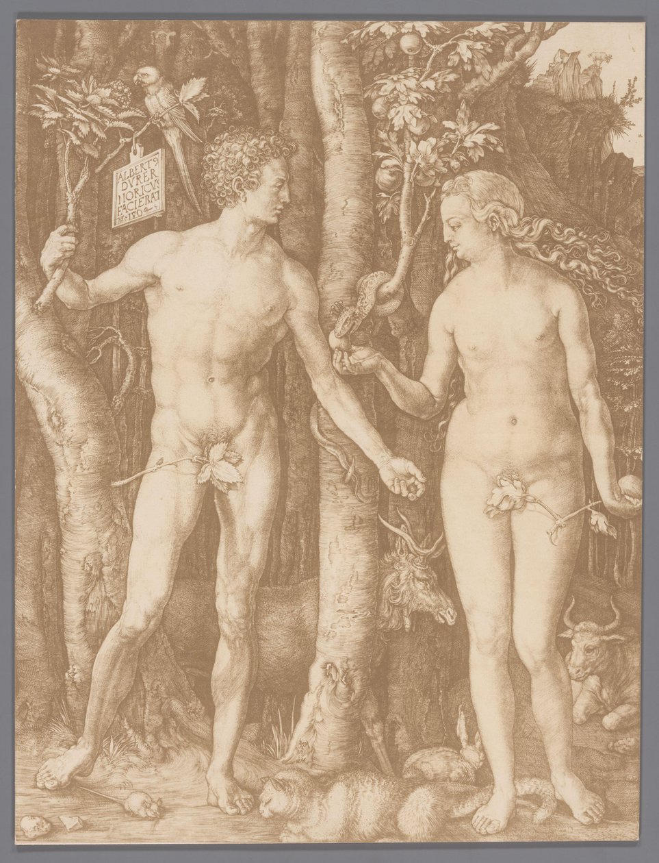 Albrecht Dürer'in Adem ve Havva gravürünün fotoğraflı reprodüksiyonu by Anonymous
