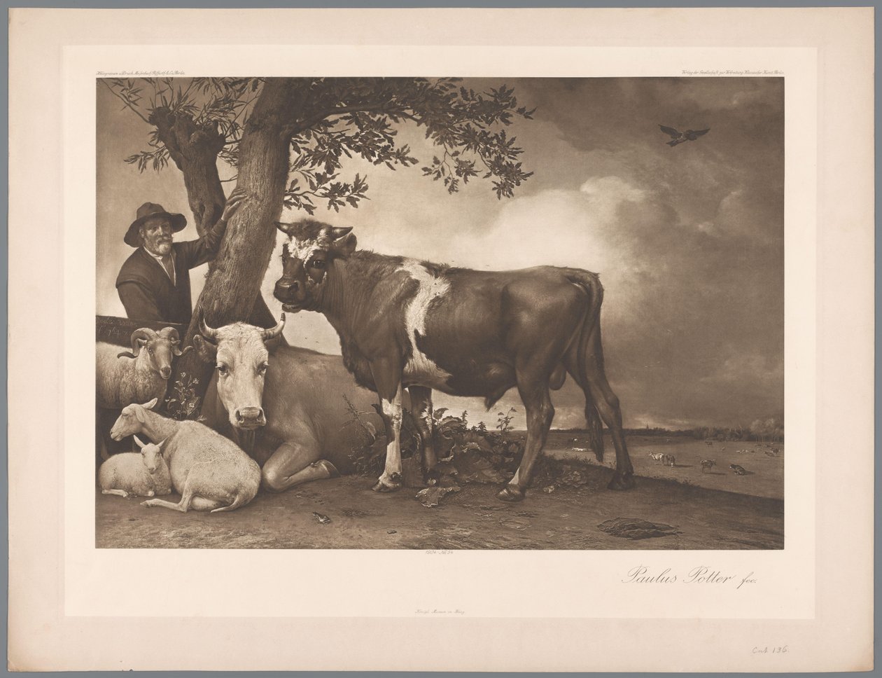Paulus Potter