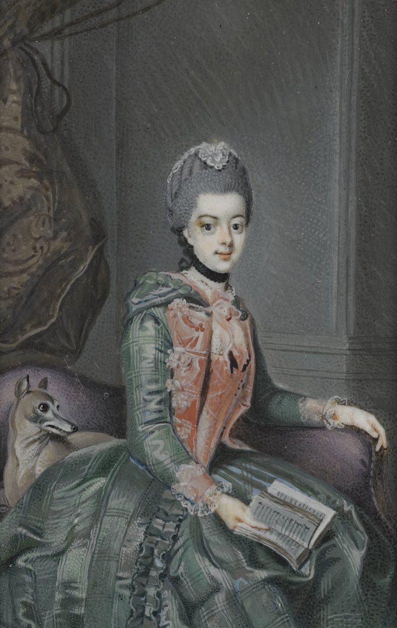 Frederika Sophia Wilhelmina (1751-1820), Prusya Prensesi. Prens Willem V