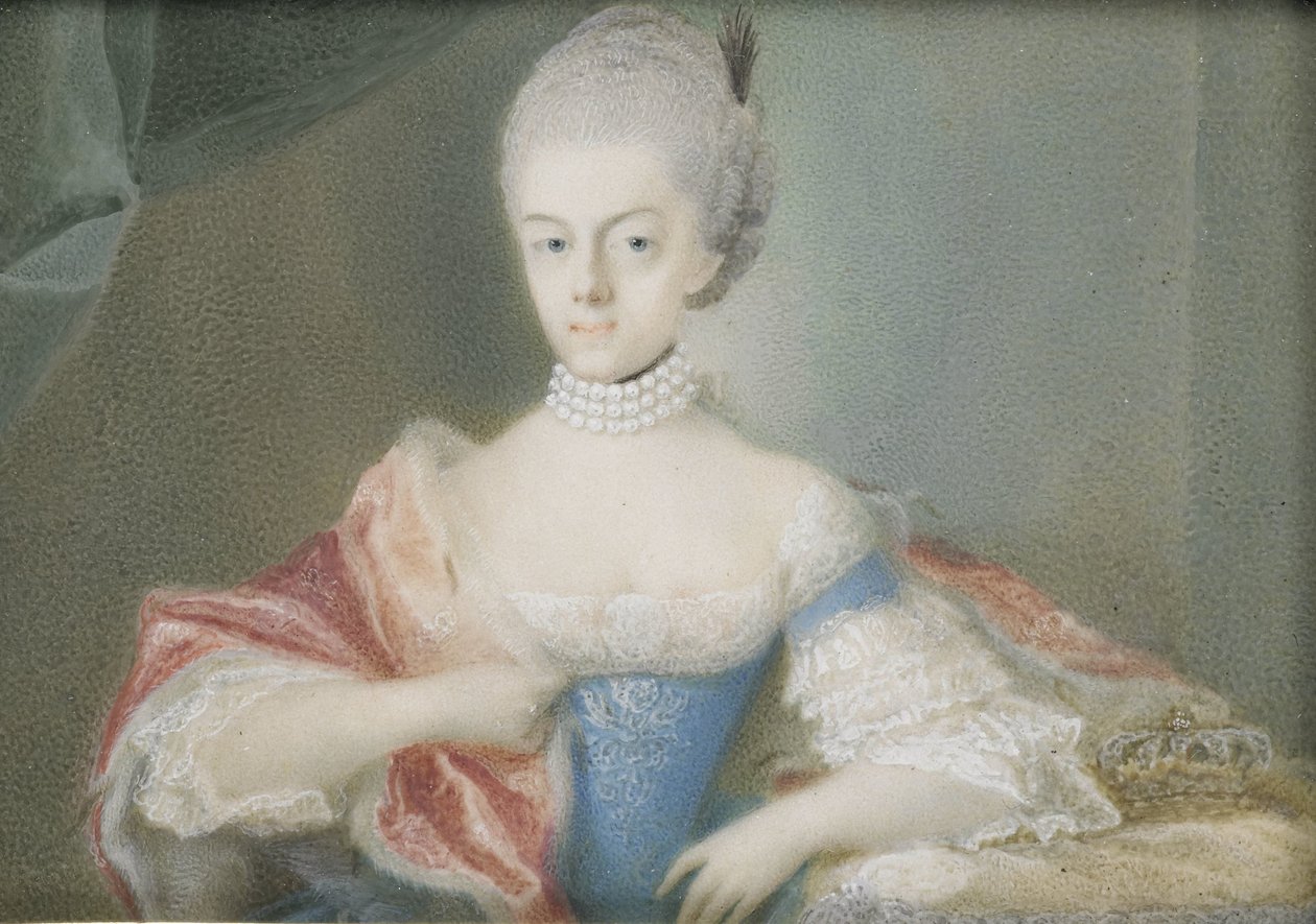 Frederika Sophia Wilhelmina (1751-1820), Prusya Prensesi, Prens William V