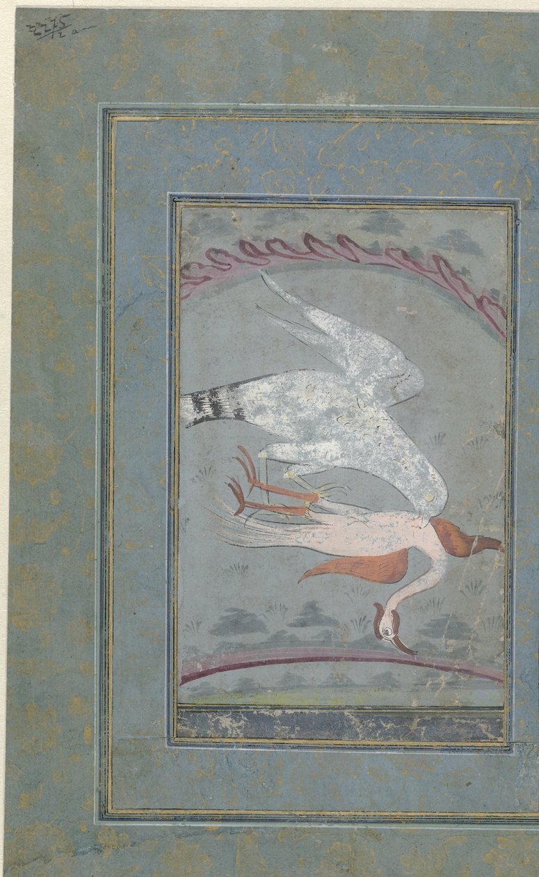 vinçli şahin by Anonymous