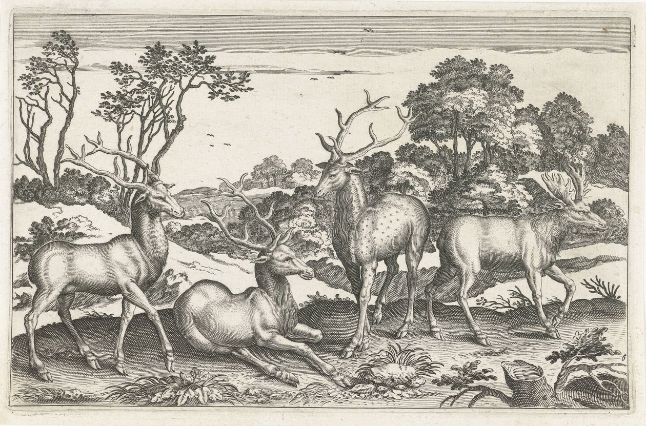 geyik Dört ayaklı hayvanlar (dizi adı) Animalivm Qvaddrvpedvm (dizi başlığı) by Anonymous