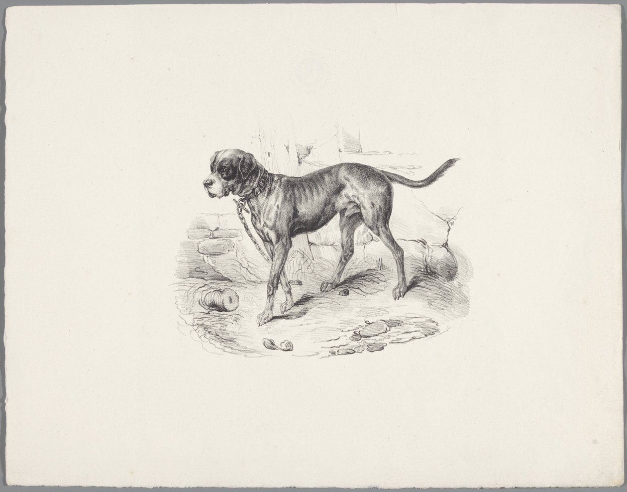 Bir zincir üzerinde köpek Altı küçük hayvan çalışması (dizi başlığı) Altı küçük canavar çalışması (nesne üzerine seri başlığı) by Anonymous