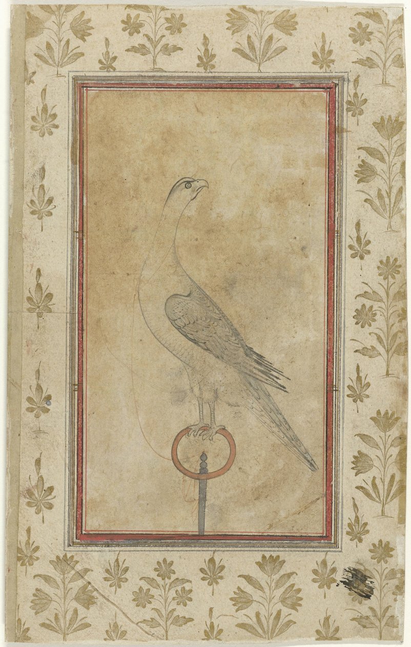 av şahin by Anonymous