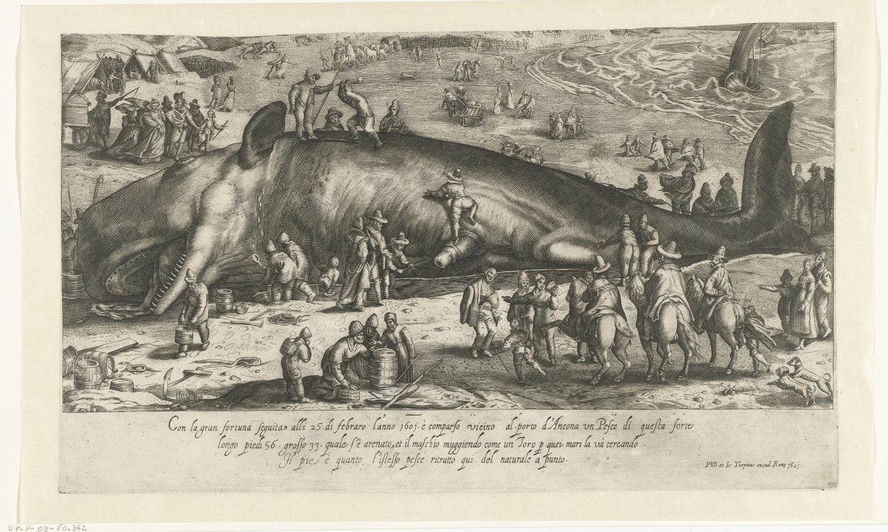 1598