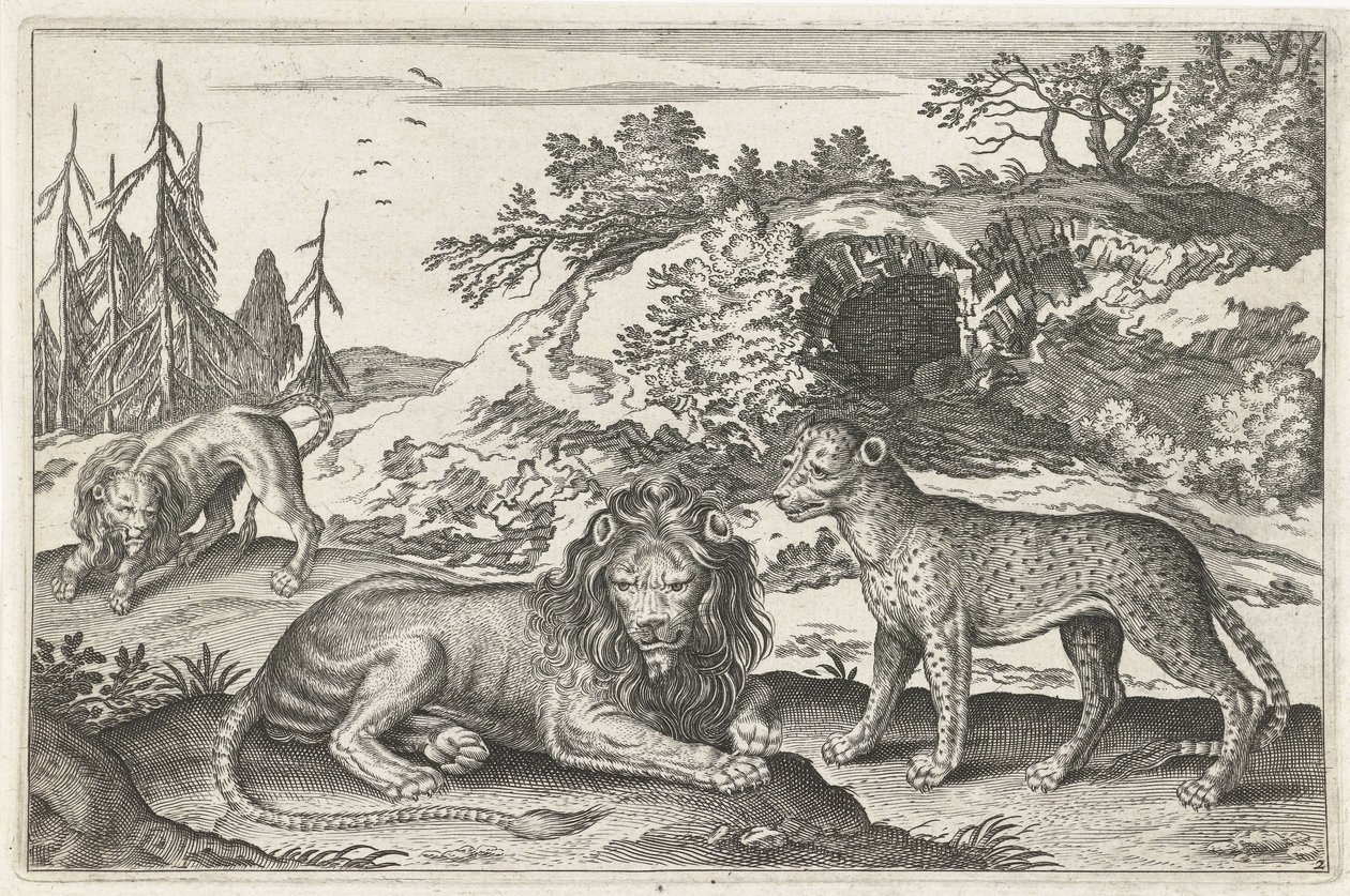 Aslanlar ve Leopar Dört ayaklı hayvanlar (dizi adı) Animalivm Qvaddrvpedvm (dizi başlığı) by Anonymous