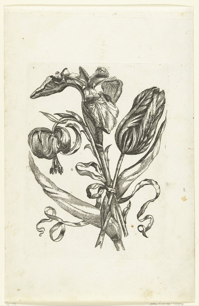 Lelie, gökkuşağı ve tulp Yeni Çiçek Simgeleri (seri başlığı) by Anonymous